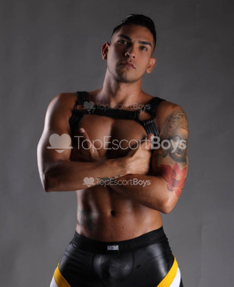 Photo escort girl Alejandro xl : the best escort service