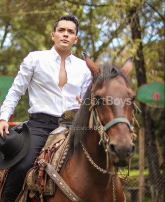 Photo escort girl MATEO: the best escort service