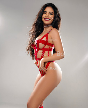 Photo escort girl Lara: the best escort service