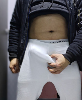 Egyptian Stallion
