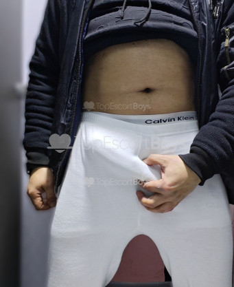 Photo escort girl Egyptian Stallion: the best escort service