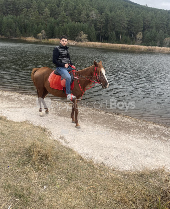 Photo escort girl mert1110: the best escort service