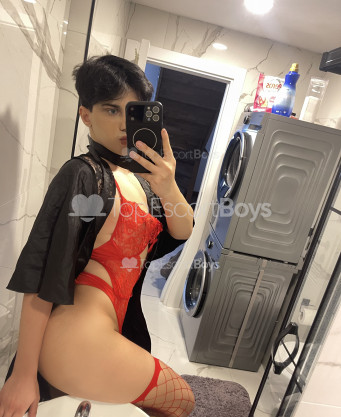 Photo escort girl Liza: the best escort service